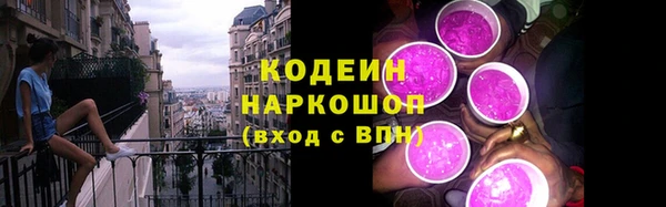 МДПВ Протвино
