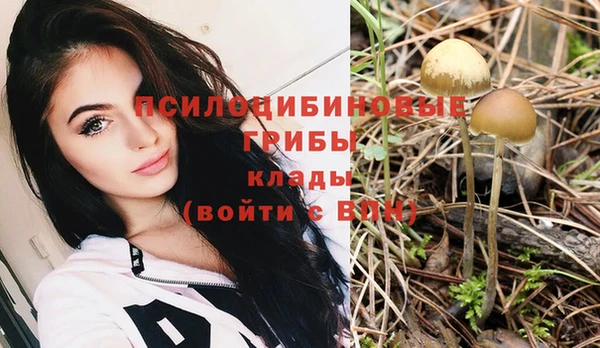 соль курить ск Арсеньев